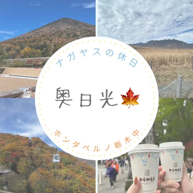 こんにちは！
ホンダベルノ栃木中のナガヤスです⭐️

先日、奥日光に紅葉を見に遊びに行ってきました🍁

社長おすすめ、明治の館でチーズケーキを食べました🤤🧀
ホールで買って食べたくなるとのことでしたが、その気持ちがわかりました🥹

大好きな帆立も食べれて満足です。笑

あんよの湯で足湯をしたり、朝早起きしてロープウェイ🚡に乗ったり、休日を満喫してきました！

曇りの予報だったのですが、晴れ女発揮☀️
最高の休日でした！❤️

✳︎✳︎✳︎✳︎✳︎✳︎✳︎✳︎✳︎✳︎✳︎✳︎✳︎✳︎✳︎✳︎✳︎✳︎✳︎✳︎

採用担当　総務人事部
〒321-0104
宇都宮市台新田1-1-37
☎️050-5804-0834

お電話やInstagramのDM等、お気軽にご連絡くださいませ！ご連絡お待ちしております！
✳︎✳︎✳︎✳︎✳︎✳︎✳︎✳︎✳︎✳︎✳︎✳︎✳︎✳︎✳︎✳︎✳︎✳︎✳︎✳︎

#宇都宮 #栃木 #ホンダ #ホンダカーズ #採用 #就活 #ホンダベルノ栃木中 #事務員 #営業 #メカニック #整備士 
#新卒採用 #新卒 #中途採用 #中途 #転職 #転職活動
#奥日光　#紅葉　#明治の館